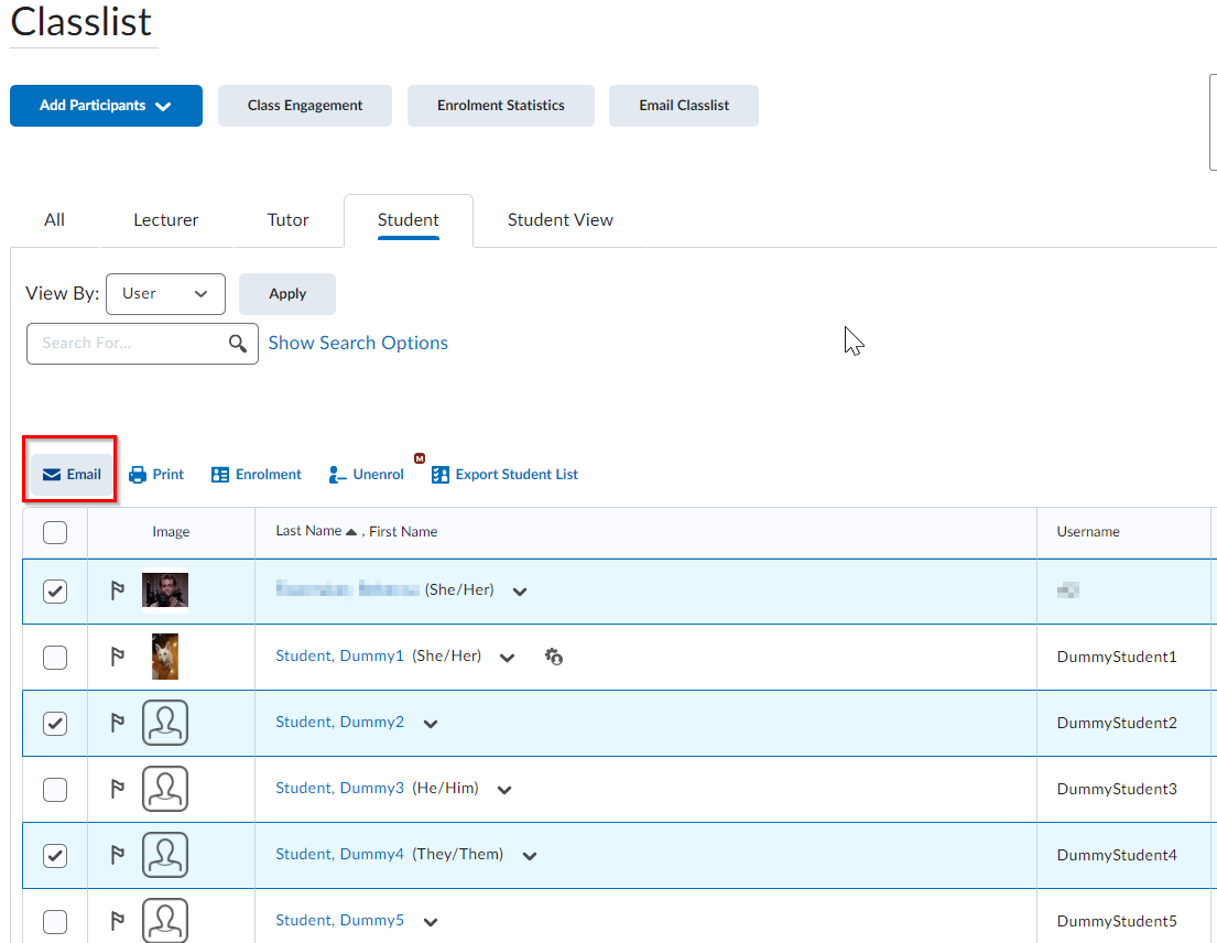 Classlist email link Image of Classlist with email icon highlighted