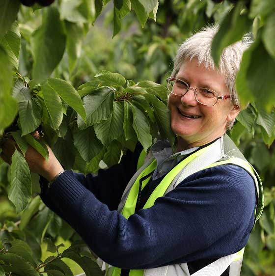 Sally Bound in cherry orchard