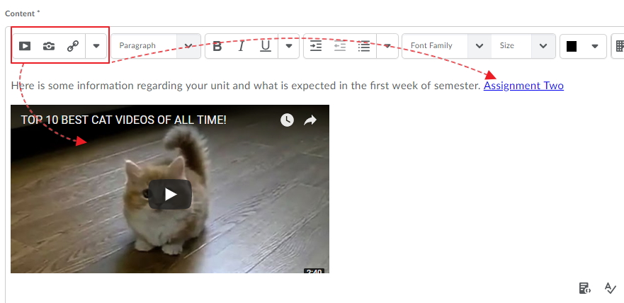 add unit content or insert items from external sources using the HTML features