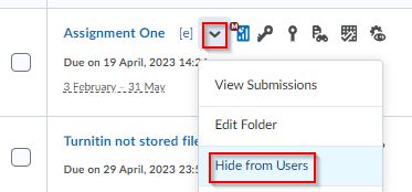 Hide the Assignment
