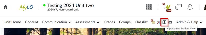 Student view impersonation