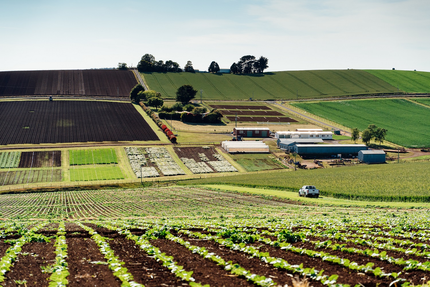 View of Forthside Vegetable Research Facility