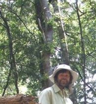Dr Andrew Hingston
