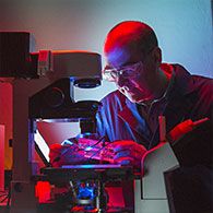 Professor Michael Breadmore