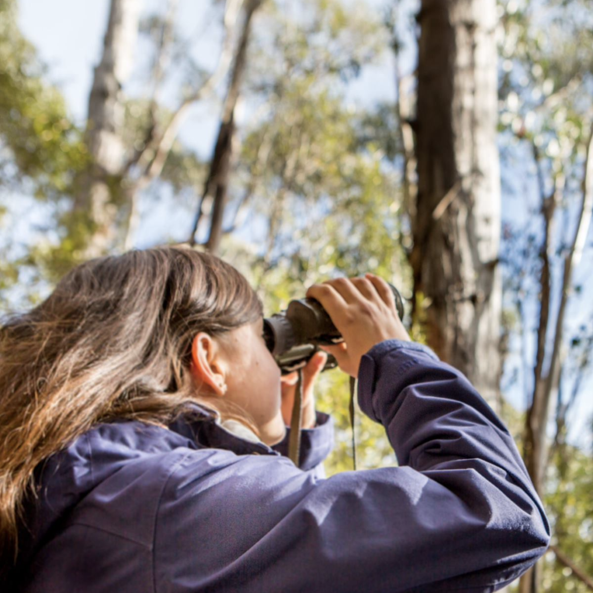 Implementation strategies for systematic conservation planning