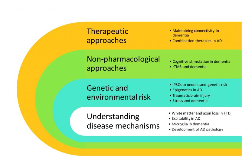 Causes translational neuroscience diagram