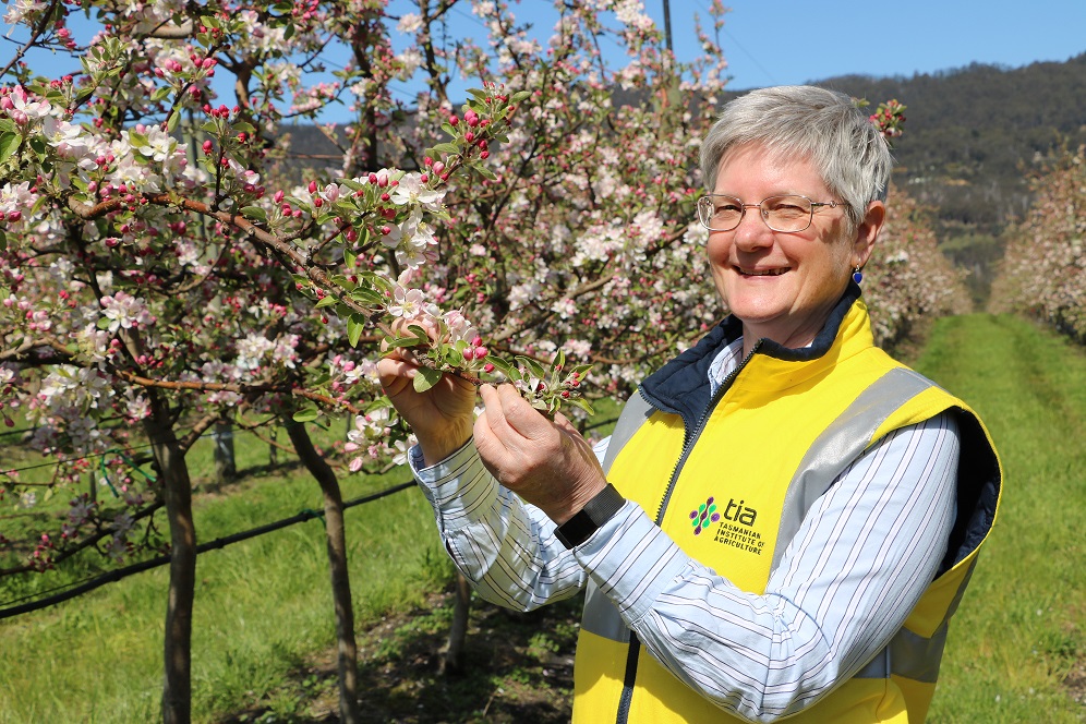 Dr Sally Bound and apple blossom