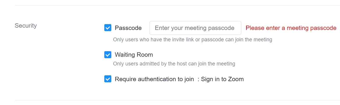 Zoom Security