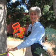Dr Lynda Prior