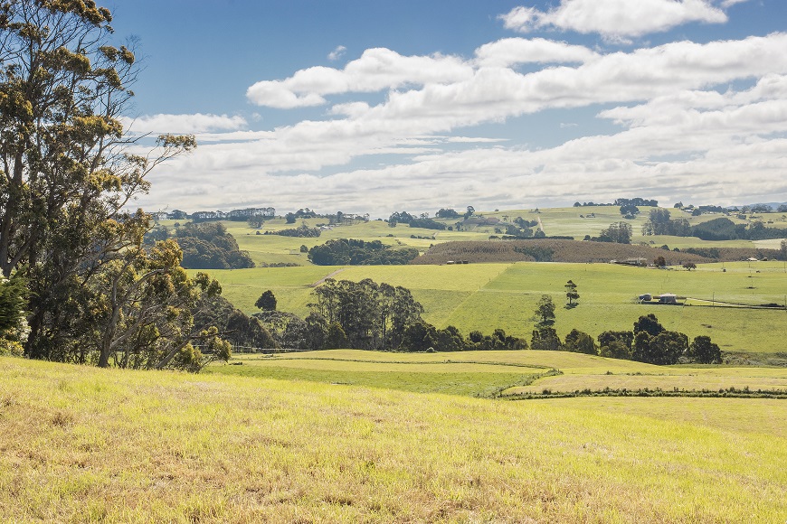 Landscape at Elliot Dairy